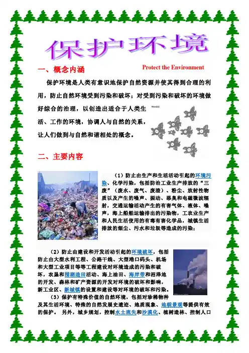 计算机word作业