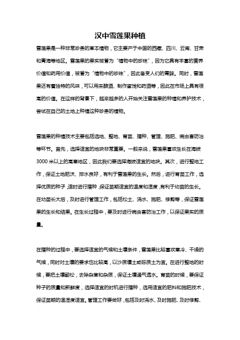 汉中雪莲果种植