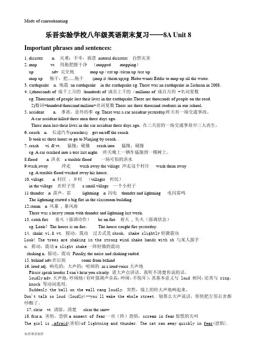 牛津译林版英语八上    期末复习Unit 8
