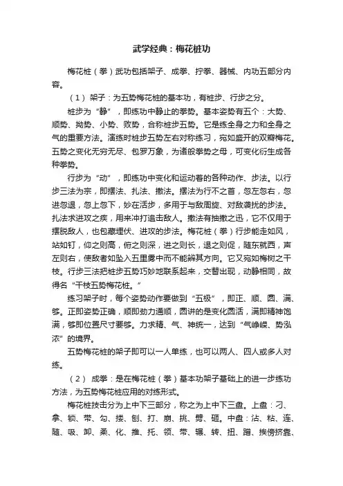 武学经典：梅花桩功