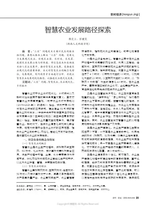 智慧农业发展路径探索