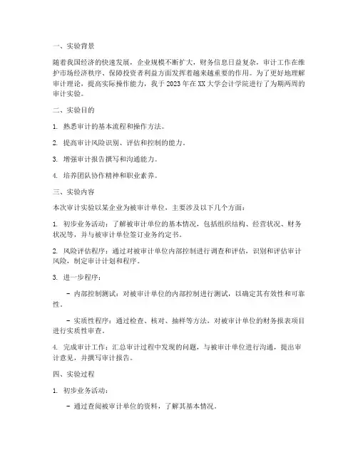 个人审计实验报告