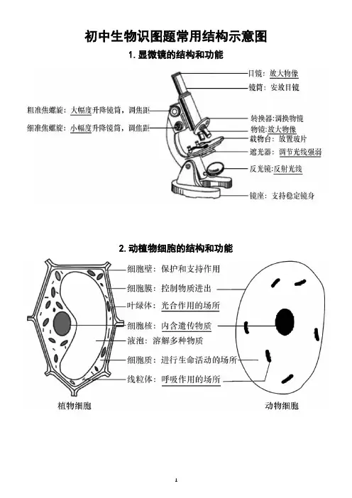 初中生物识图题常用结构示意图汇总(共15幅)