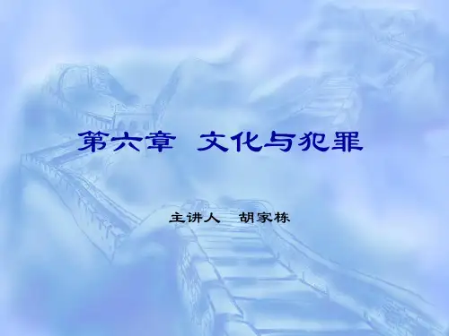 第六章  文化与犯罪