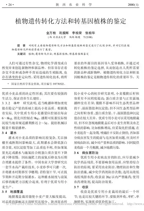 植物遗传转化方法和转基因植株的鉴定