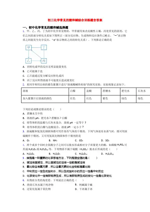 初三化学常见的酸和碱综合训练题含答案