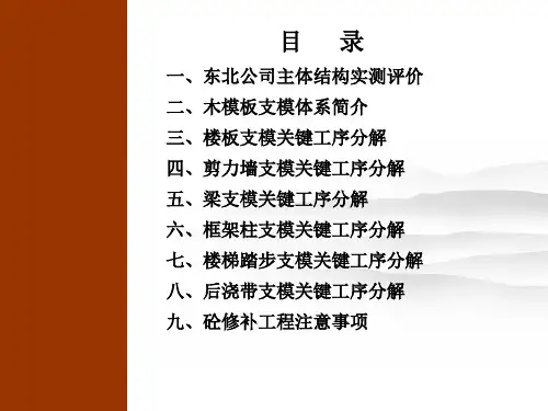 木模板施工关键工序作业指导书图文丰富