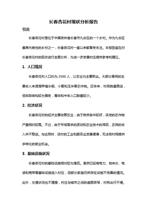 长春杏花村现状分析报告