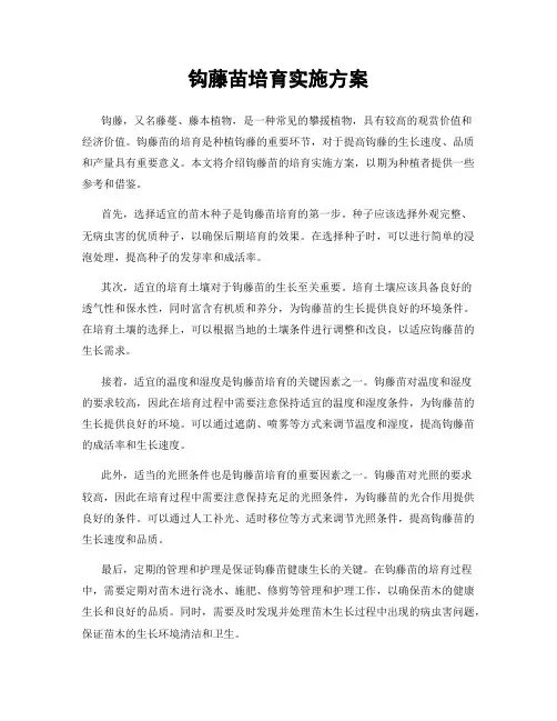 钩藤苗培育实施方案