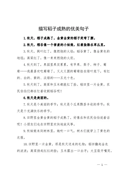 描写稻子成熟的优美句子