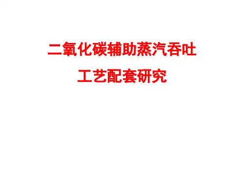 二氧化碳项目研究汇报