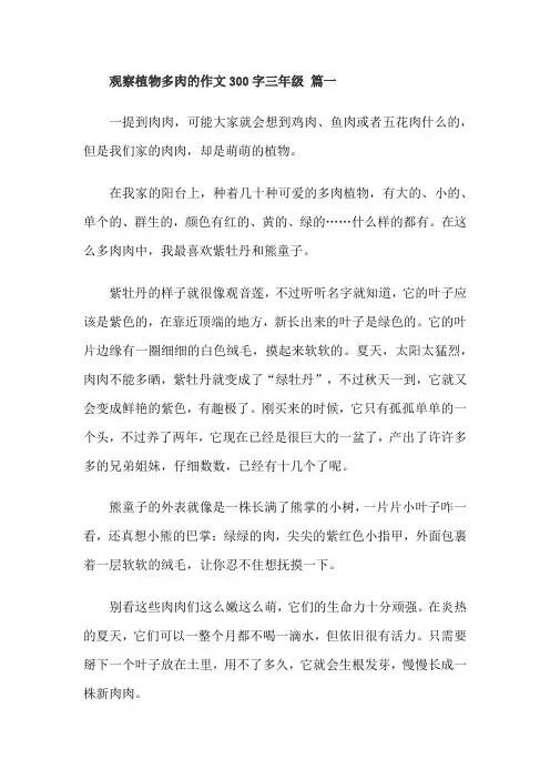 观察植物多肉的作文300字三年级