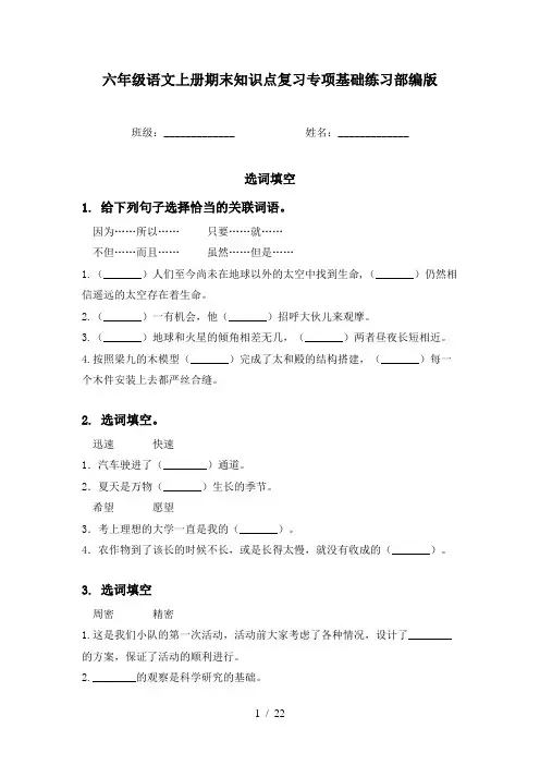 六年级语文上册期末知识点复习专项基础练习部编版