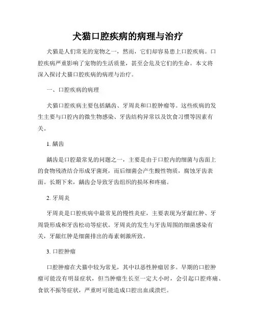犬猫口腔疾病的病理与治疗