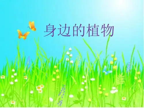 【精选】一年级上册科学课件-4身边的植物 冀教版(共17张PPT)