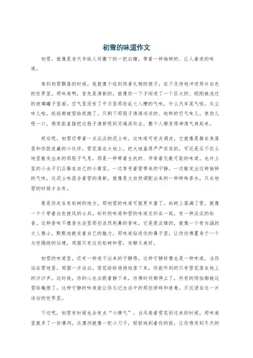 初雪的味道作文
