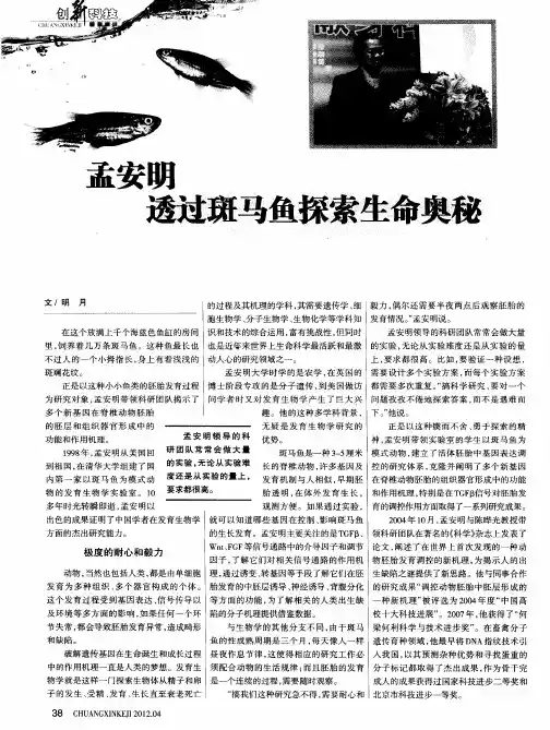 孟安明透过斑马鱼探索生命奥秘