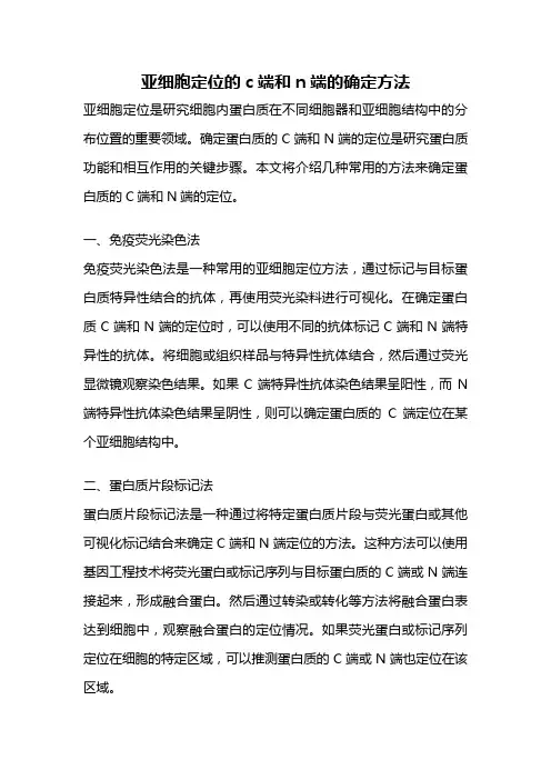 亚细胞定位的c端和n端的确定方法