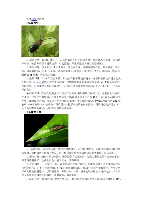 樱桃树害虫及防治带图片