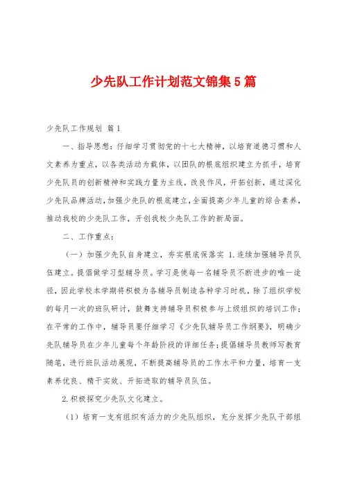 少先队工作计划范文5篇