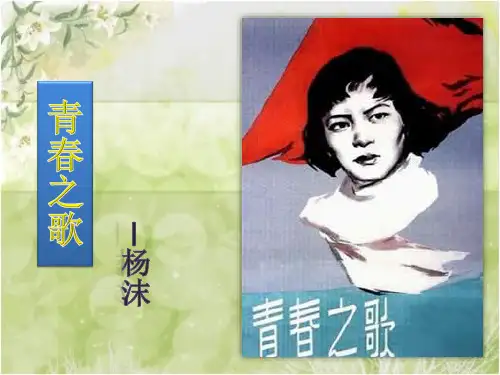 小说青春之歌ppt课件