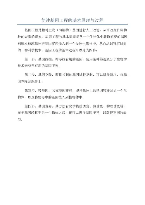 简述基因工程的基本原理与过程