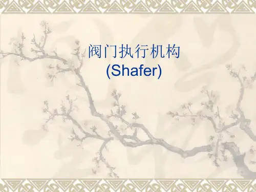阀门执行机构(Shafer)知识培训