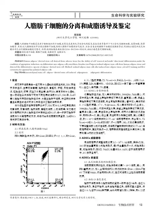 人脂肪干细胞的分离和成脂诱导及鉴定