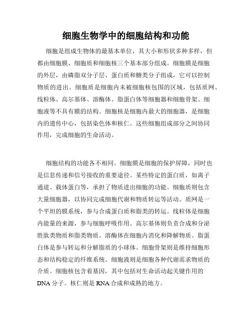 细胞生物学中的细胞结构和功能