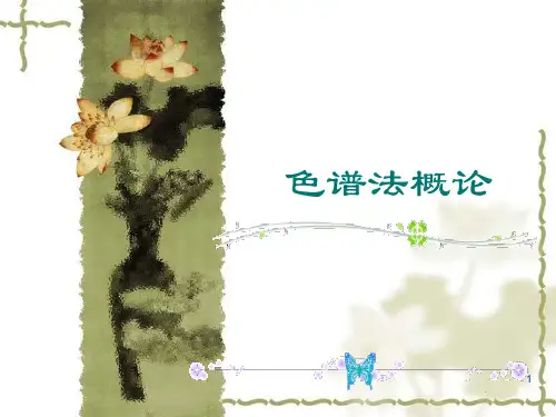 色谱法概论PPT课件