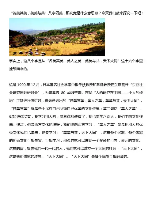 各美其美,美美与共的意思