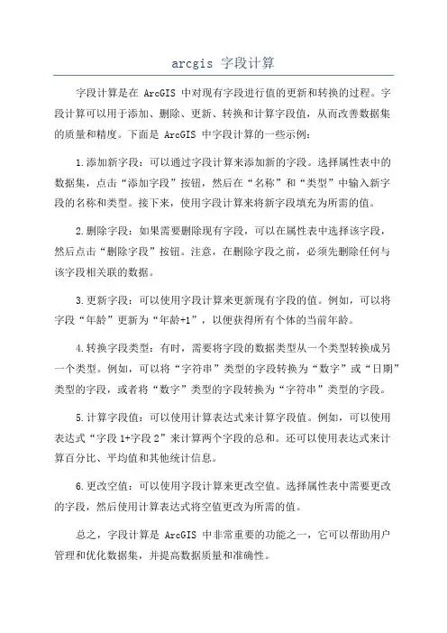 arcgis 字段计算