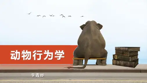 动物行为学讲课教师版本