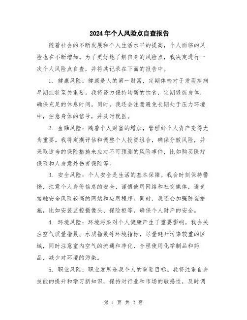 2024年个人风险点自查报告