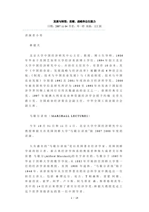发展与转型：思潮、战略和自生能力