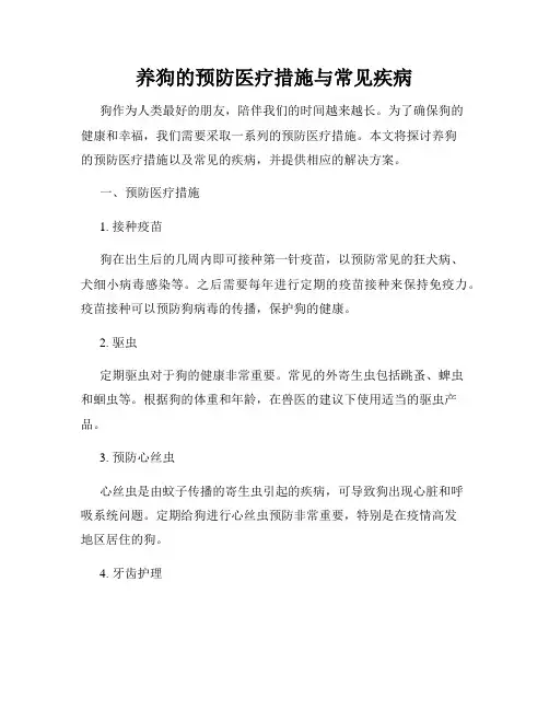 养狗的预防医疗措施与常见疾病