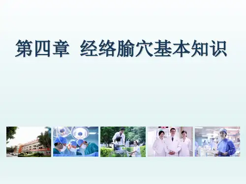 中医   经络腧穴基本知识PPT课件