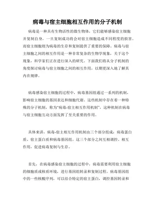 病毒与宿主细胞相互作用的分子机制