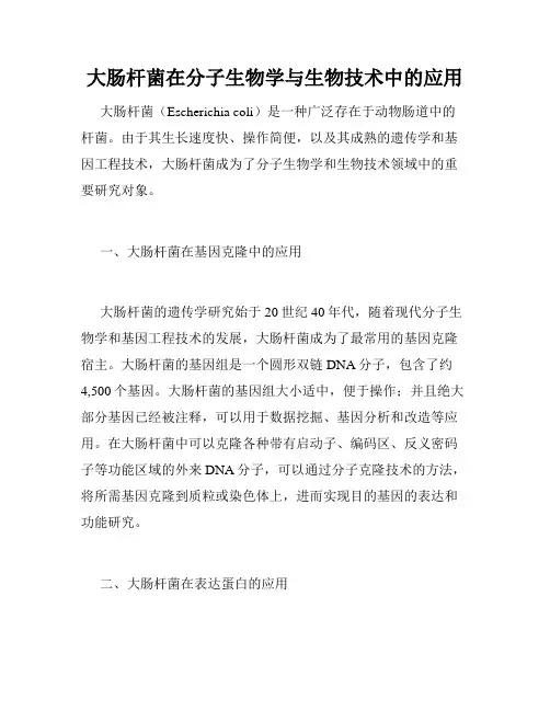 大肠杆菌在分子生物学与生物技术中的应用