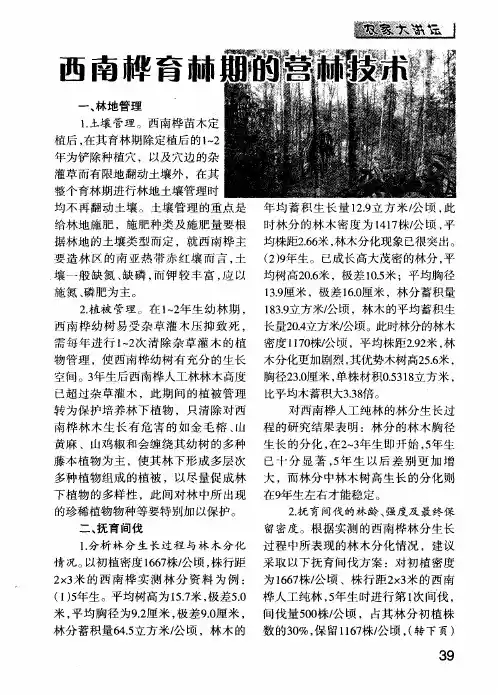 西南桦育林期的营林技术