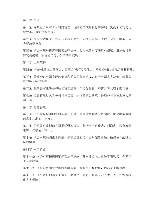 公司办公司对子公司管理制度