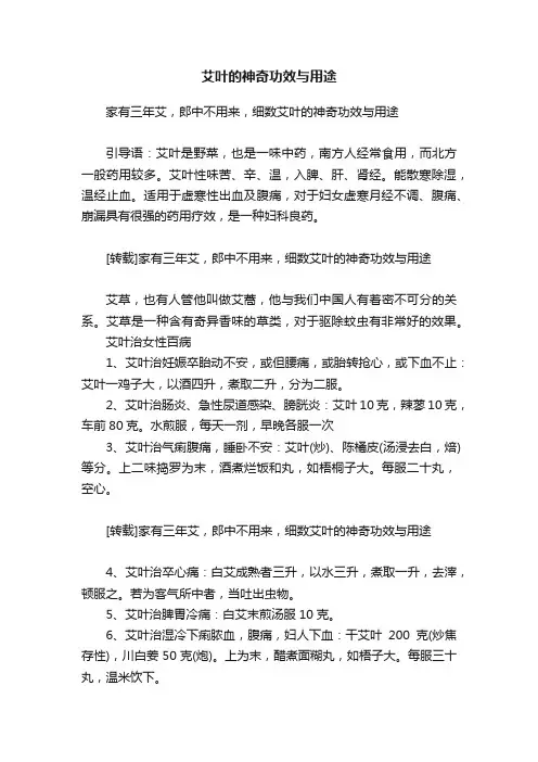 艾叶的神奇功效与用途
