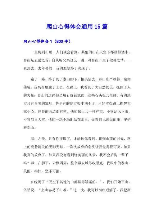 爬山心得体会通用15篇