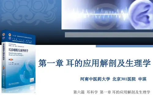 耳的解剖与生理-听觉生理 - 正式