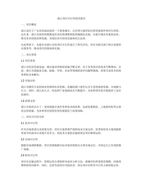 湛江项目可行性研究报告