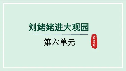 统编版语文九年级上册第25课《刘姥姥进大观园》  课件(共34张PPT).ppt