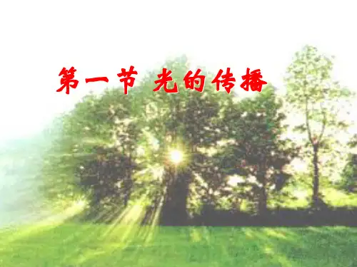 光的传播ppt11 人教版优质课件优质课件