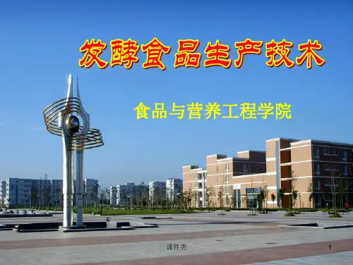 发酵肉制品生产技术(内容详实)