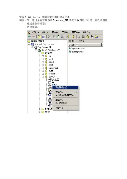SQL Server 视图及索引的创建及使用