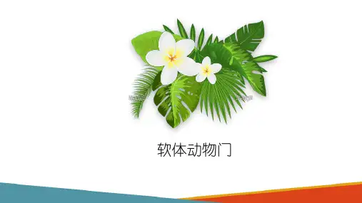 底栖动物—软体动物门(水生生物课件)
